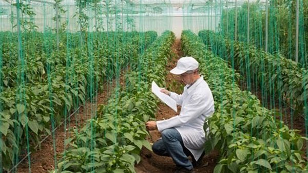 مطلوب مهندسين زراعين خبره ببيع وتسويق المبيدات والبذور للعمل بالرياض