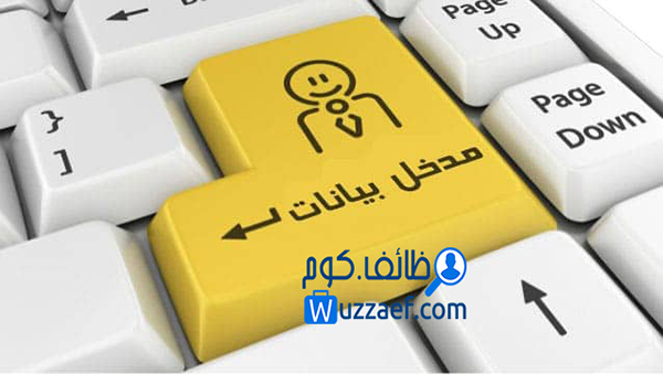 مطلوب موظفين إدخال بيانات براتب ثابت وفترة تدريب مدفوعة الاجر بالكامل Data Entry