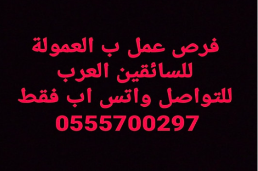 مطلوب سائقين عرب أمينين و محترمين