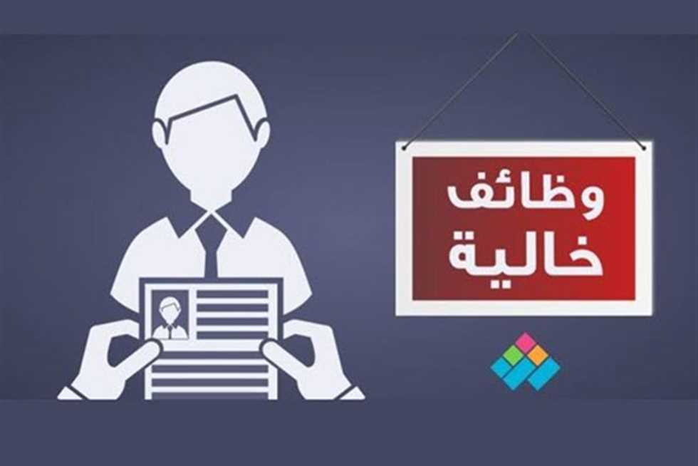 مطلوب مبرمج بى اتش بى PHP 