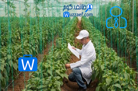 مطلوب مهندس زراعي للعمل في محل لبيع الأسمدة والبذور ومبيدات الصحة العامة في مدينة الرياض