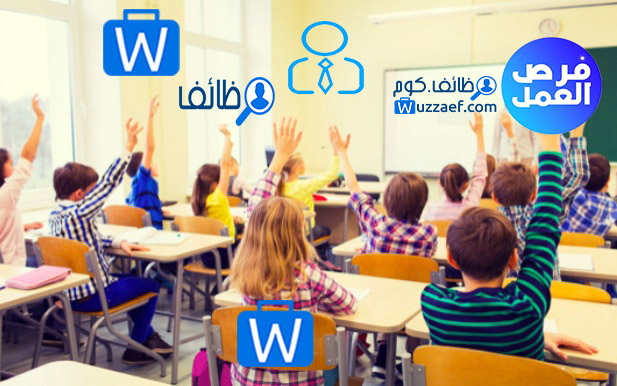 مدرس اقتصاد مستوى خبرة في تدريس الهجين واستخدام تكنولوجيا التعليم  سلطنة عمان